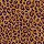 Milliken Carpets: Leopold Leopard